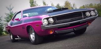 1970 Dodge Challenger TA Panther Pink Mopar muscle car