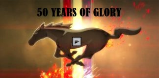 50 years fordmustang