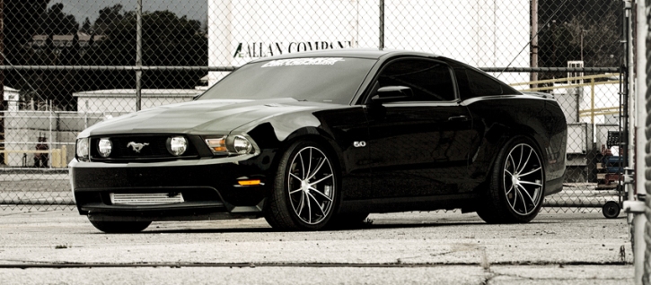 ford mustang gt 5.0 on ace alloy wheels