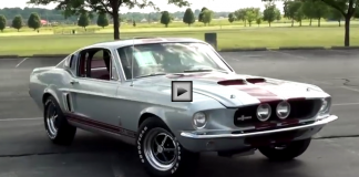 1967 ford mustang fastback s-code shelby gt500 tribute