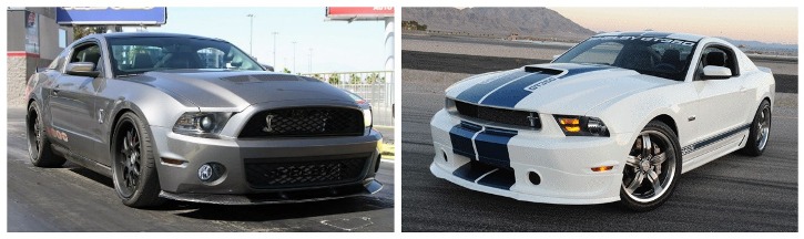 ford shelby mustangs