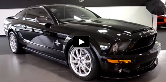 2008 ford mustang shelby gt500kr