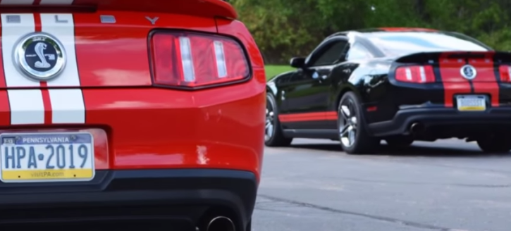 ford mustang shelby gt500 terrorize the streets