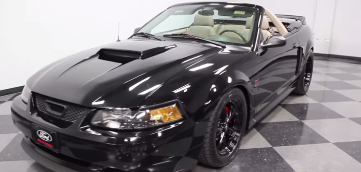 convertible ford mustang roush gt