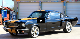 ford mustang shelby hertz muscle car