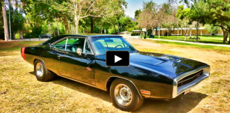 dodge charger rt muscle car