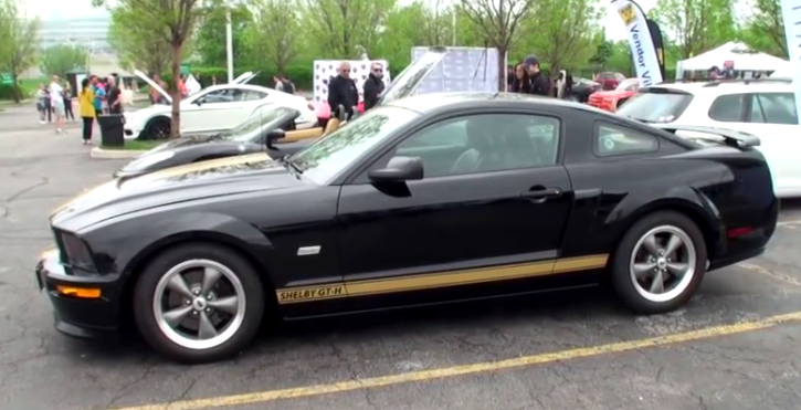 2006 Ford mustang shelby hertz