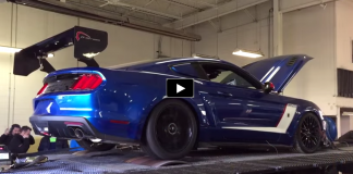 roush supercharged 2015 ford mustang