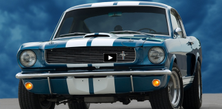 sapphire blue 1966 mustang shelby gt350 on hot cars