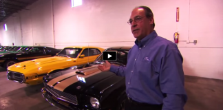 incredible ford mustang collection