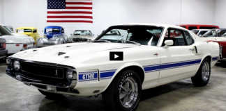 restored 1969 mustang shelby gt500