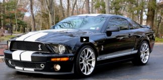 2009 mustang shelby gt500 show winner