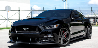 modified 2015 mustang gt video