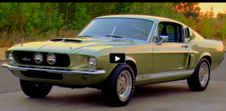 1967 mustang shelby gt350 brothers collection