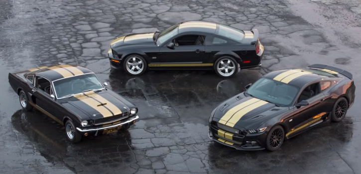 new shelby hertz mustang for rent