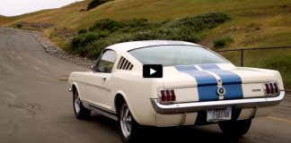 driving a 1965 shelby gt350 mustang