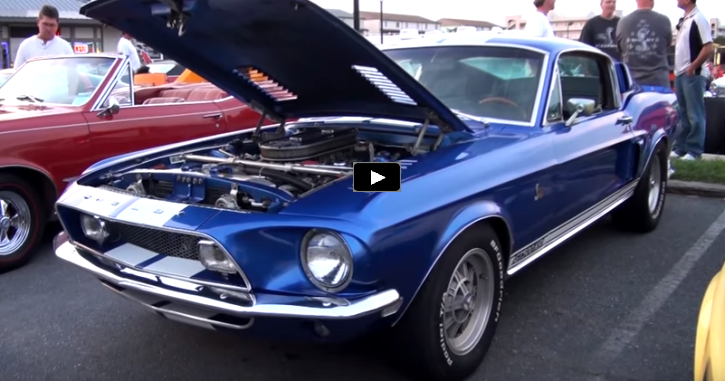 shelby gt500 mustangs car show