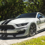 customized_2016_shelby_gt350
