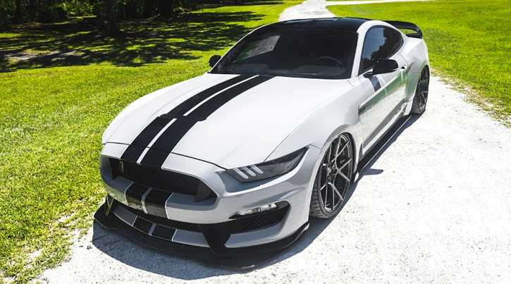 custom 2016 mustang shelby gt350 video