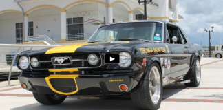 rare 1966 mustang terlingua trans am clone