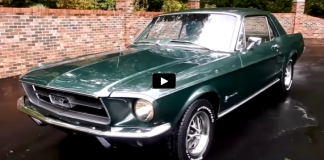 moss green 1967 ford mustang t5