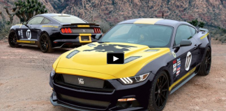 all about the new shelby mustang terlingua edition