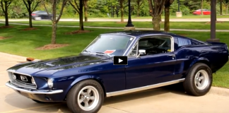 classic mustangs
