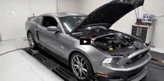 procharged 2014 mustang gt dyno