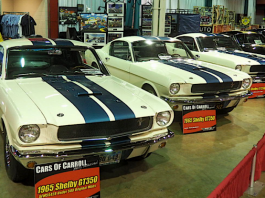 shelby gt350 gt500 mustangs and race cars