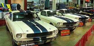 shelby gt350 gt500 mustangs and race cars