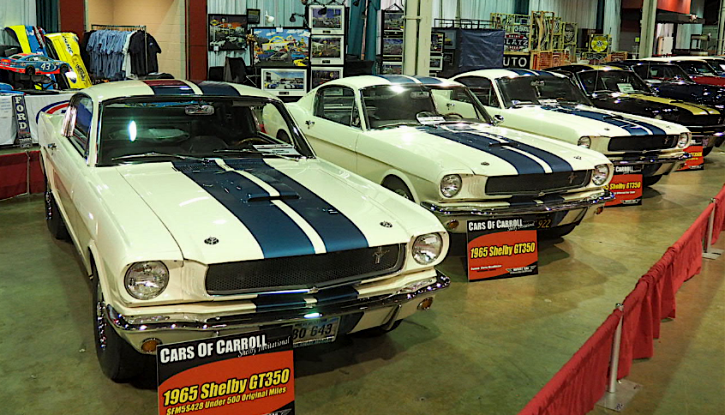 shelby gt350 gt500 mustangs and race cars