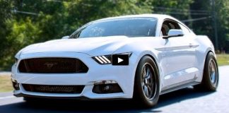 coyote mustang street car drag racing