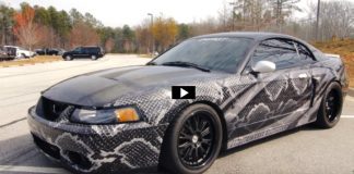 customized mustang terminator cobra review