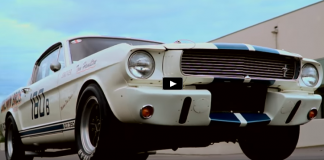 brown brothers 1965 shelby gt350r