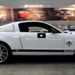 2007_mustang_gt500_anniversary_edition
