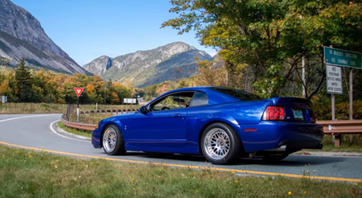 modified 2003 svt cobra mustang