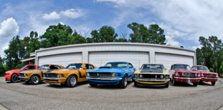 joe mcmurrey shelby collection