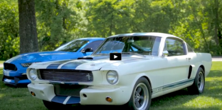 ford mustang shelby gt350 muscle cars