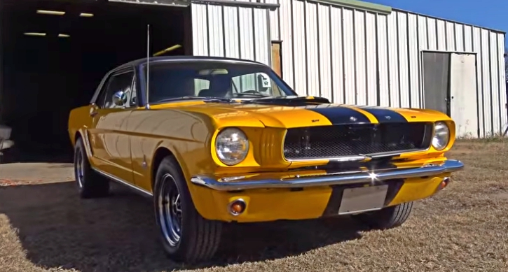 1966 ford mustang bumblebee pony