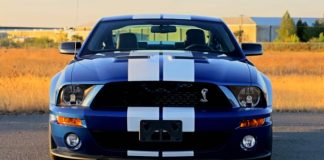 special 2008 mustang shelby gt500