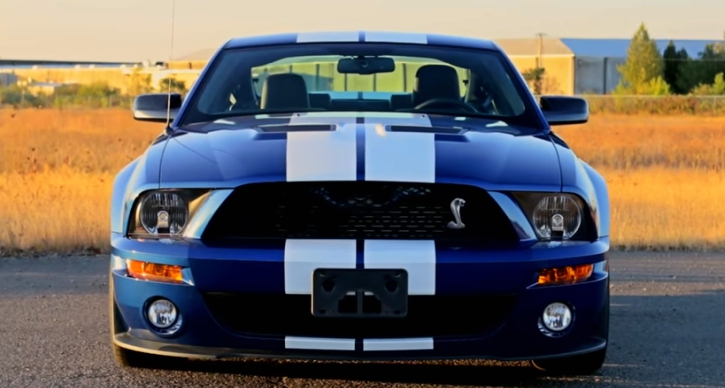 special 2008 mustang shelby gt500