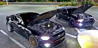 shelby gt500 vs mustang 5.0