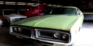 green on green 1971 dodge charger 318