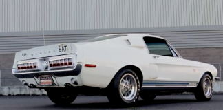 1968 shelby gt500kr mustangs