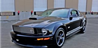 2007 mustang shelby gt brothers collection