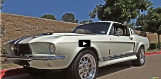 legendary motors built shelby mustangs