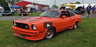 limited edition 1978 king cobra mustangs