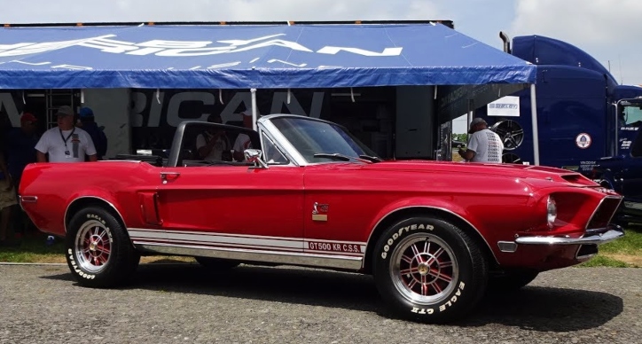 shelby gt500kr anniversary edition