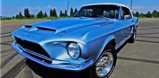 1968 shelby gt500kr collector car