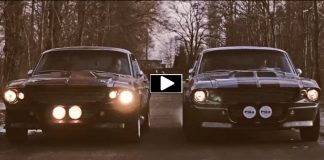 shelby gt500 eleanor mustangs